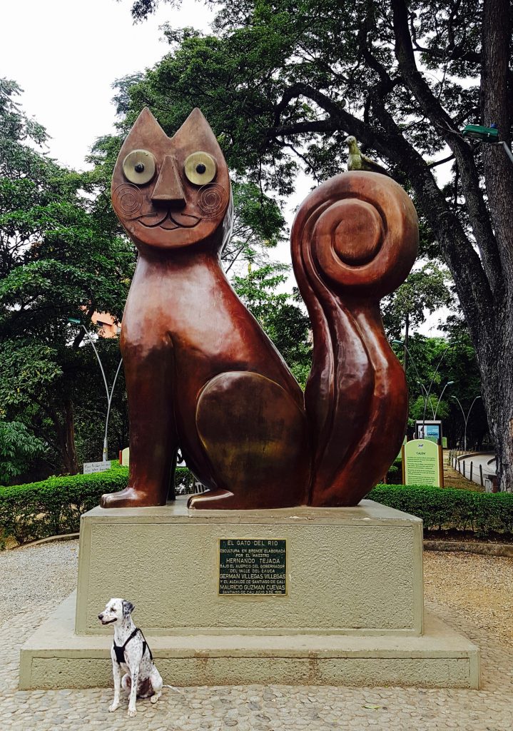 El Gato Del Rio Cali Colombia