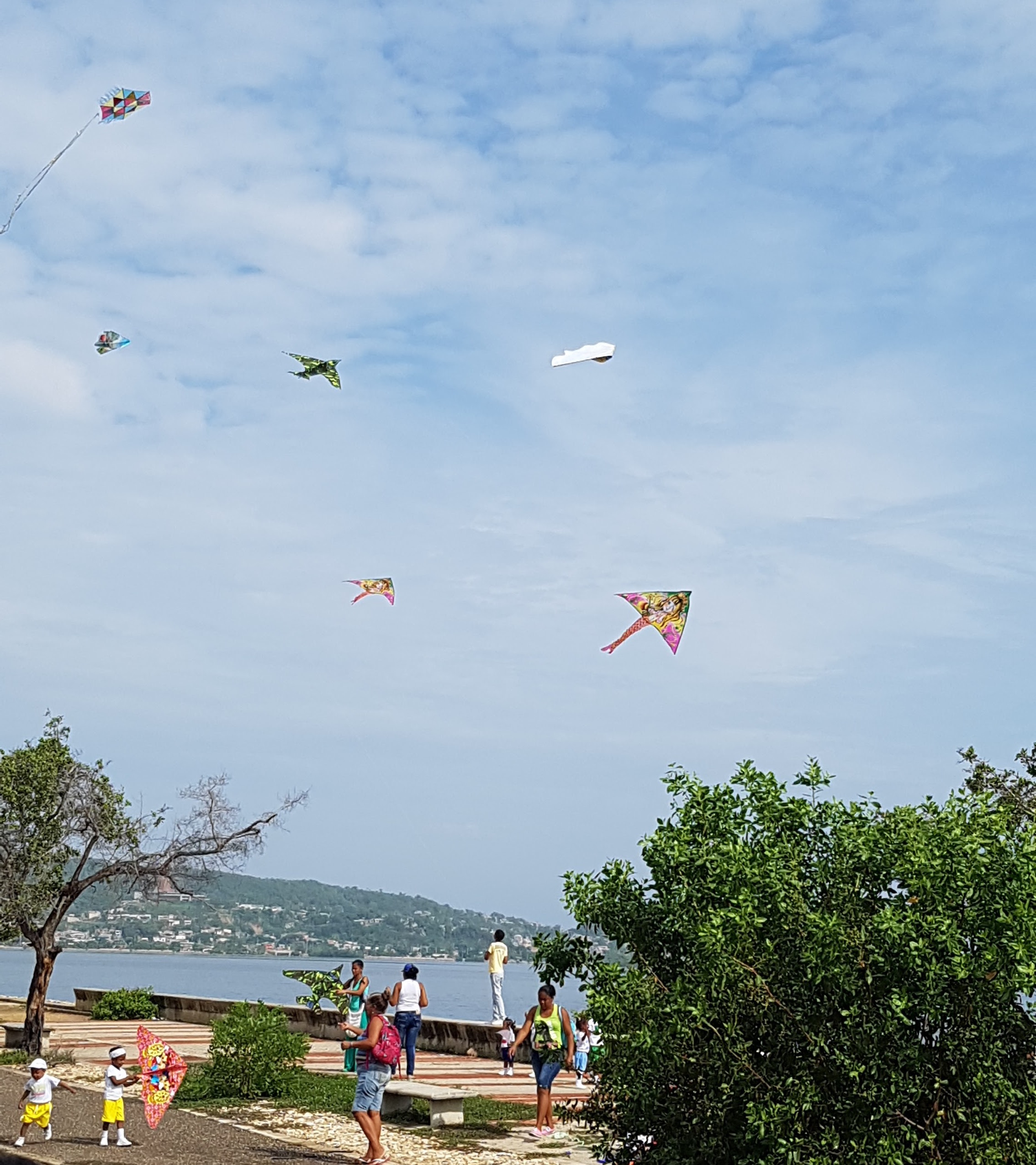 Flying kites I didn't know no sugarcoating Cartagena problems