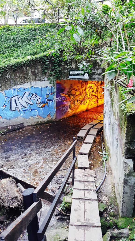 Underpass on our hike in Bogota with lots of beautiful graffiti