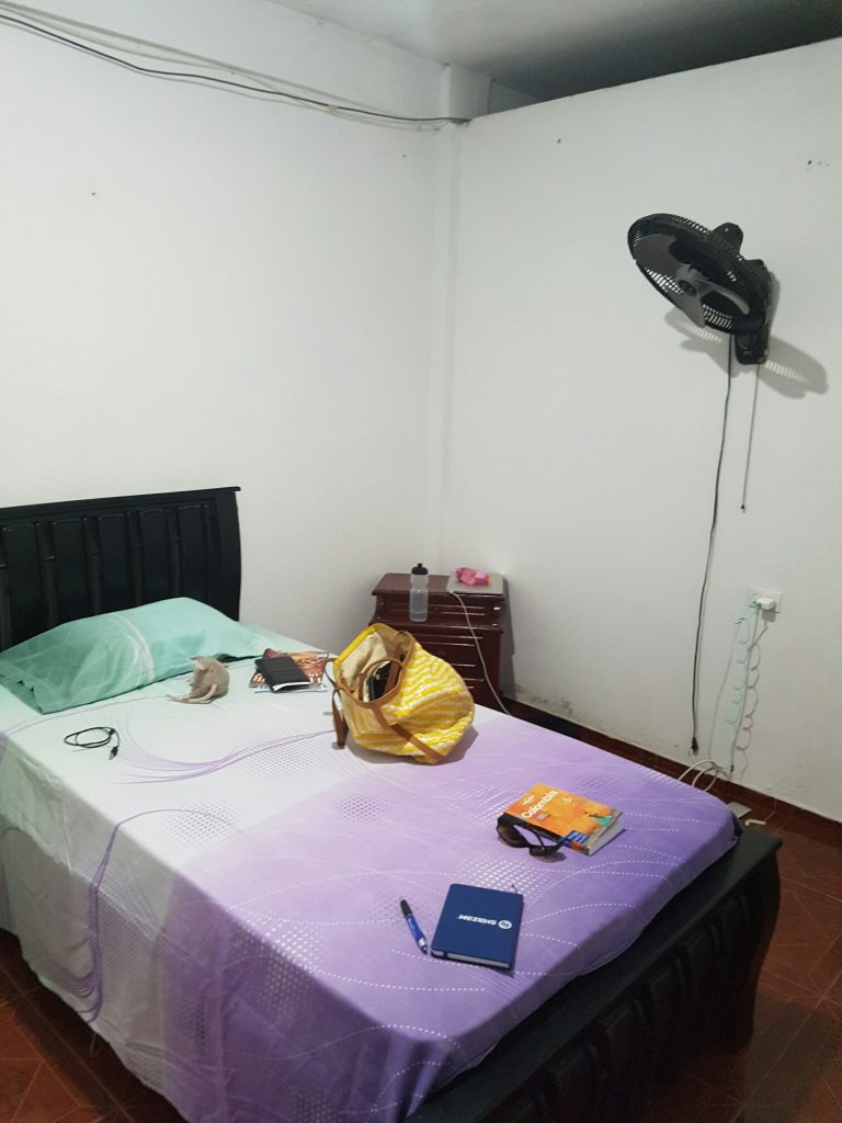 My room in Campestre