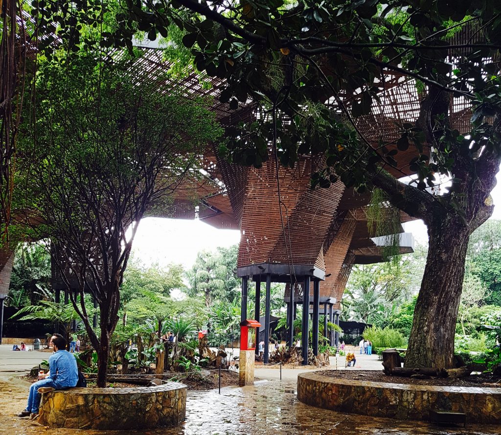 Jardin Botanica Medellin