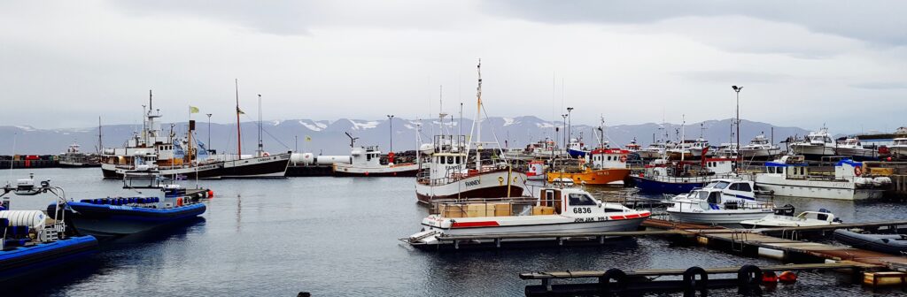 Boats in Husavik Harbor