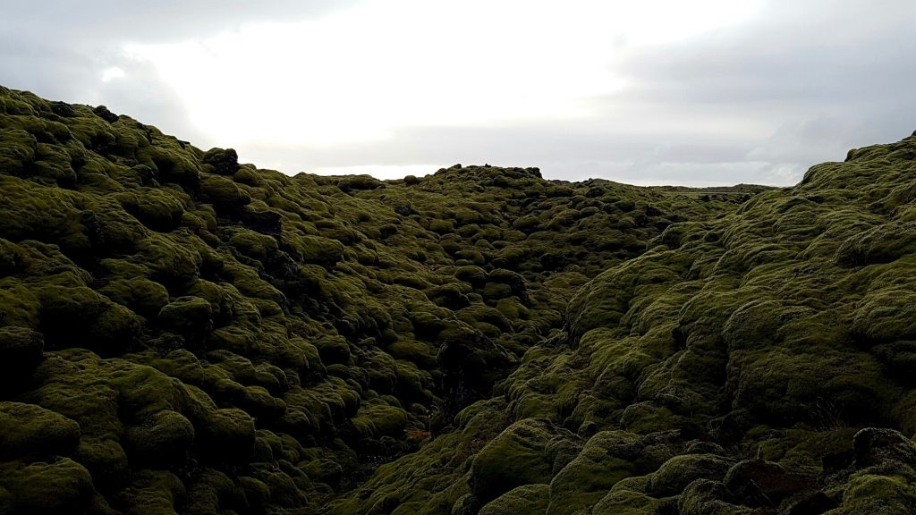 Lava Fields