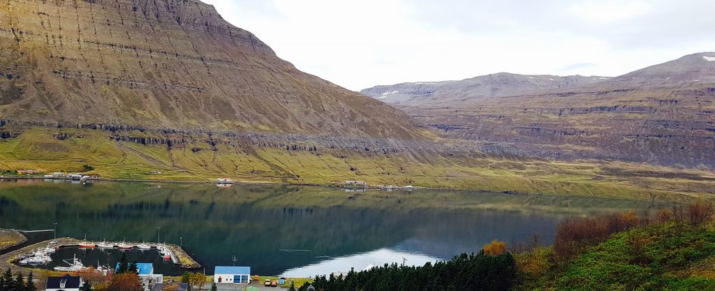 Iceland roadtrip view