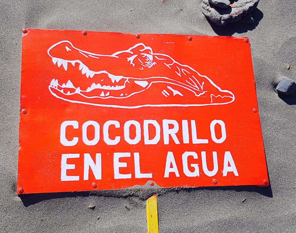 Cocodrillo