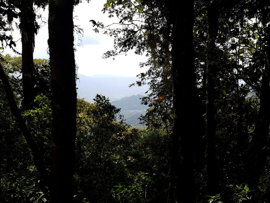 Hiking Selva Negra