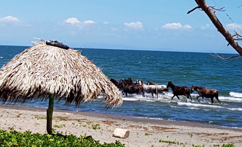 Ometepe Islands