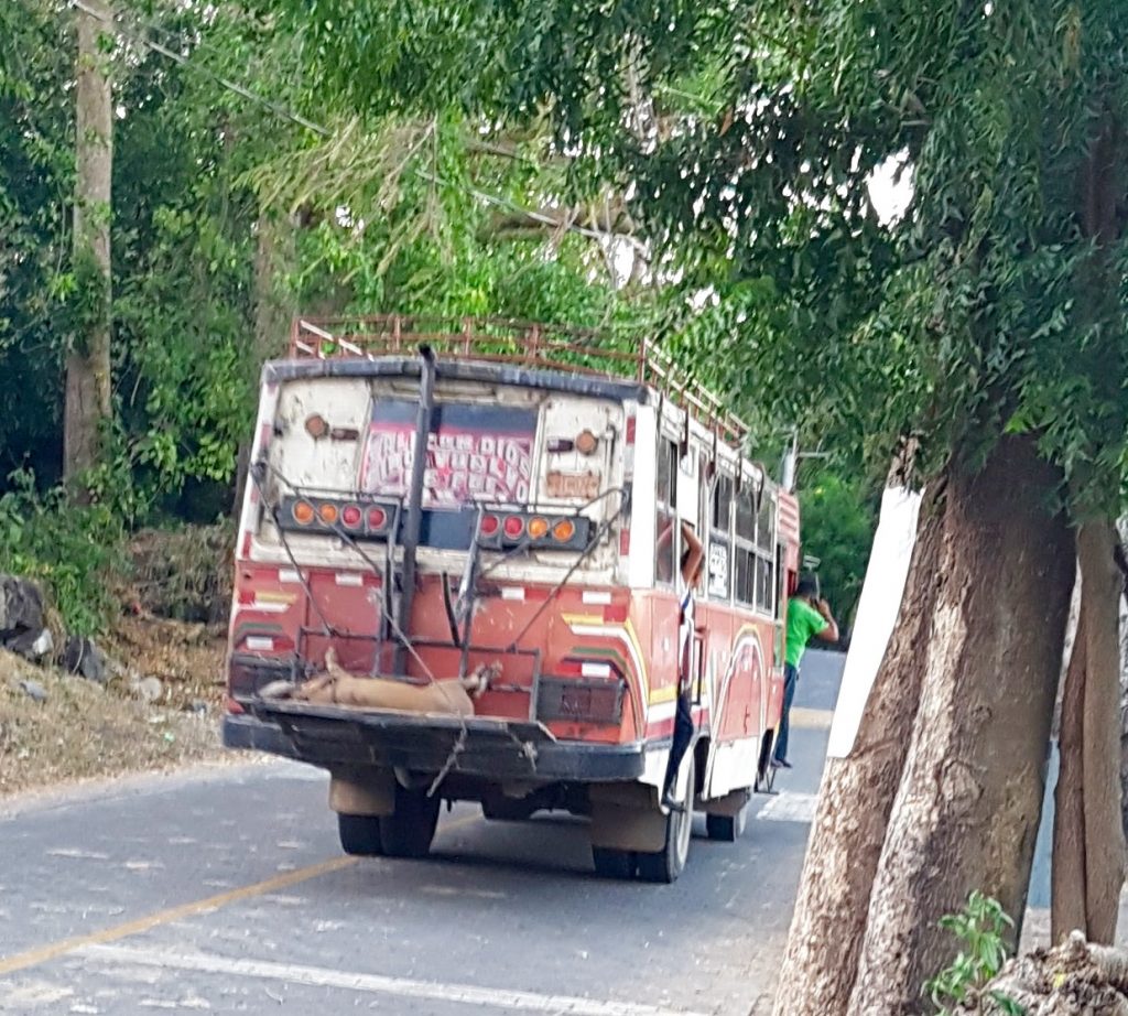 bus Ometepe