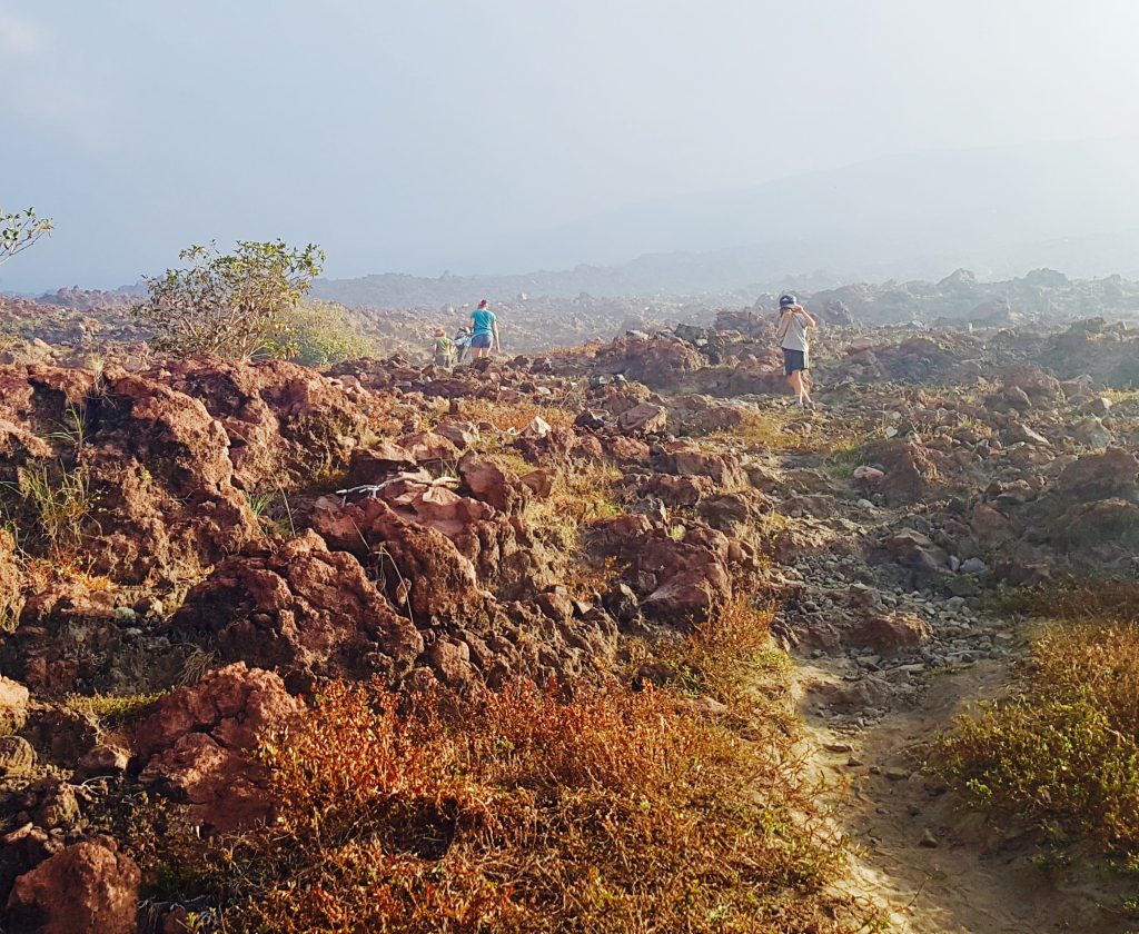 Telica Volcano views