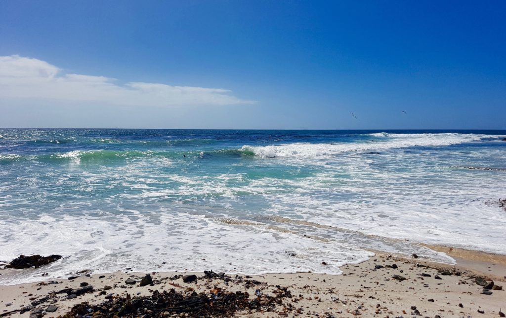 Sea Point Beach