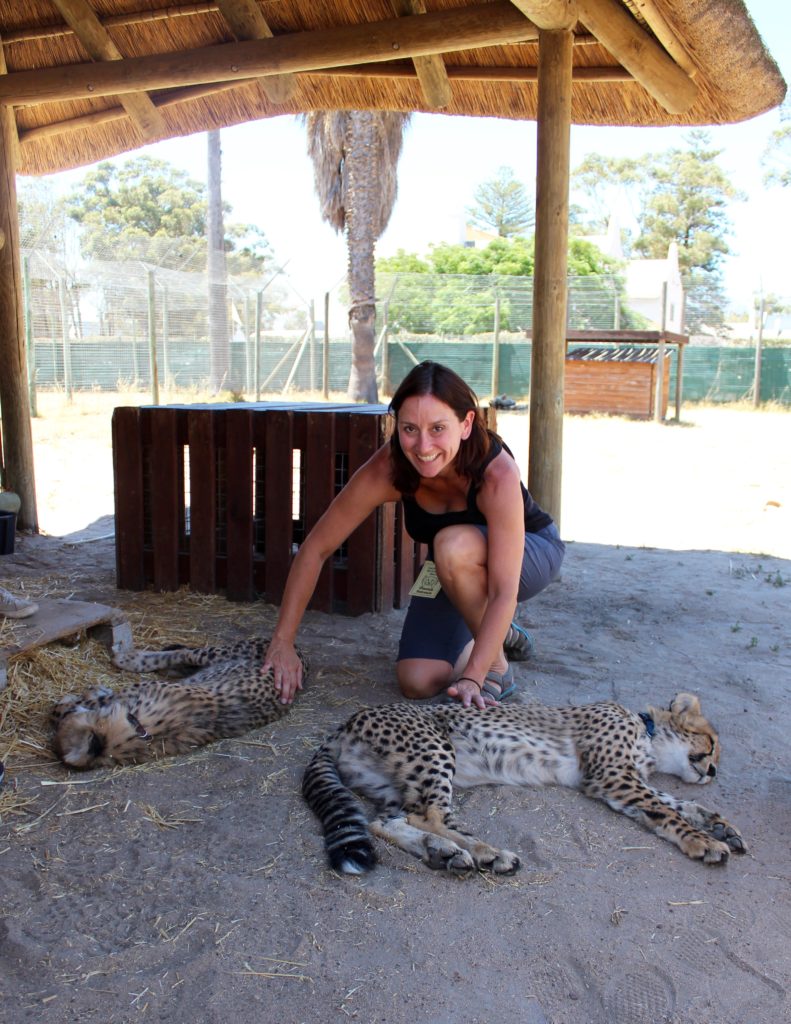 Cheetah Outreach