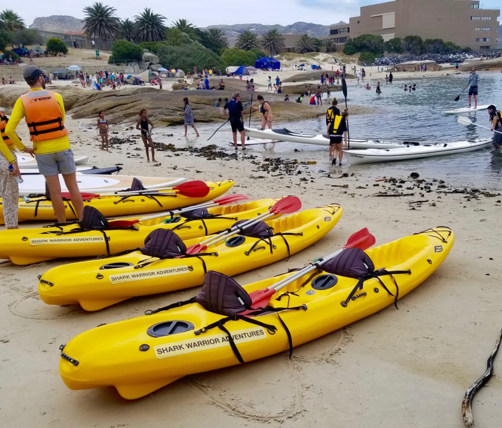 kayaking with penguins western cape tour