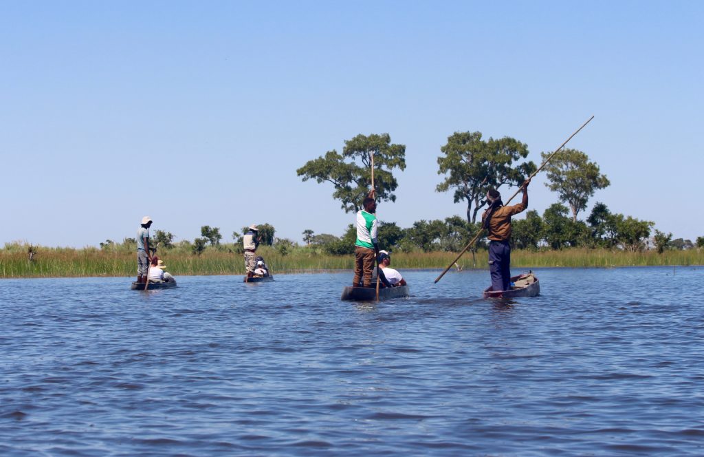 Okavango Delta mokoros