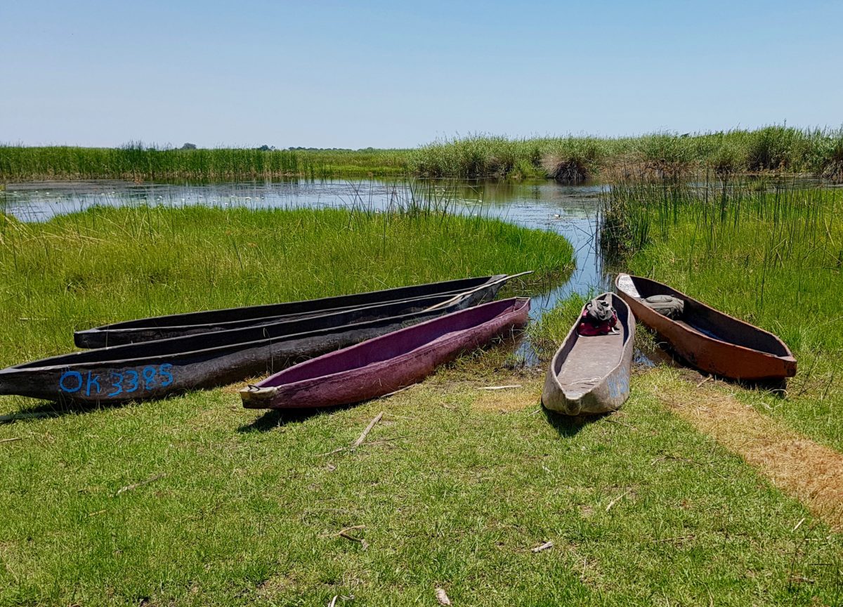 Camping in the Okavango Delta