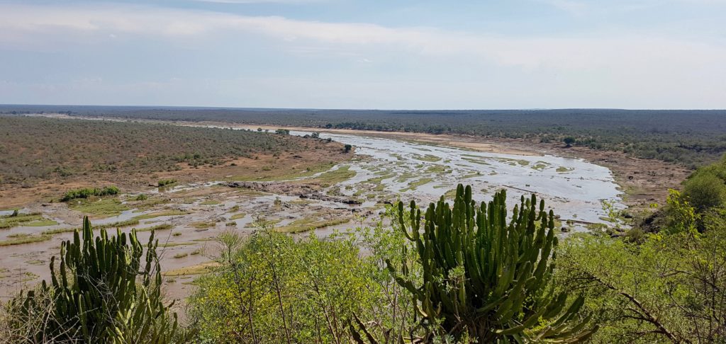 Olifants River Kruger Park