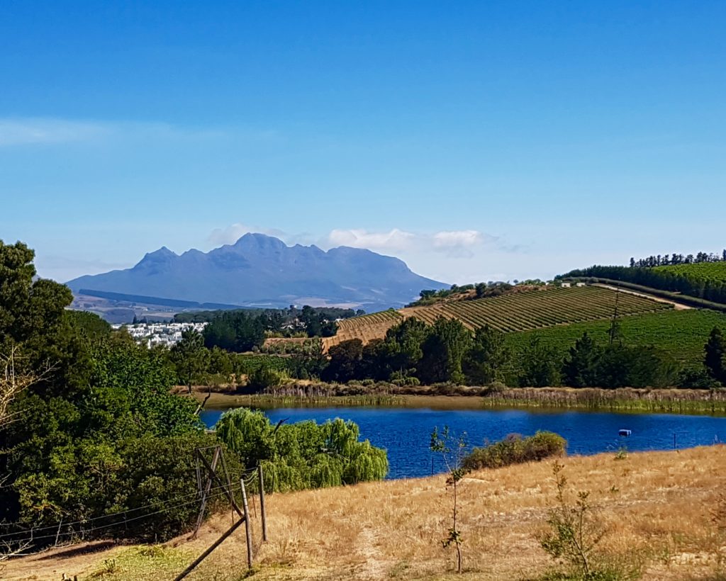 Remhoogte Wine Estate Stellenbosch