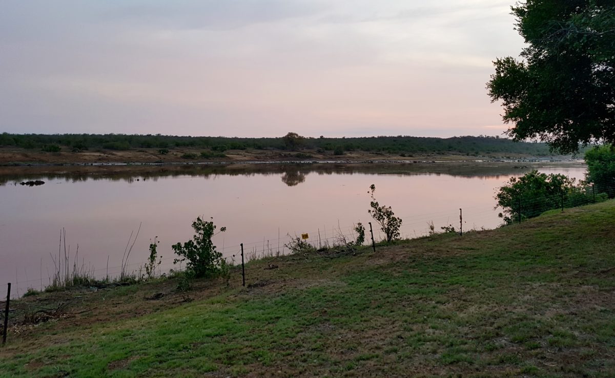 Kruger Park Accommodations: Shimuwini Bushveld Camp