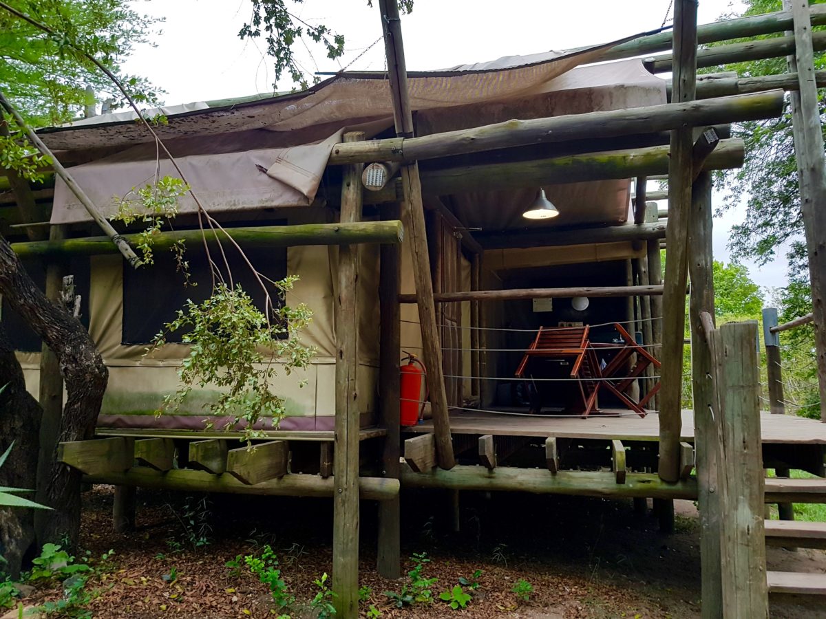 Kruger Park Accommodations: Tamboti Tent Camp