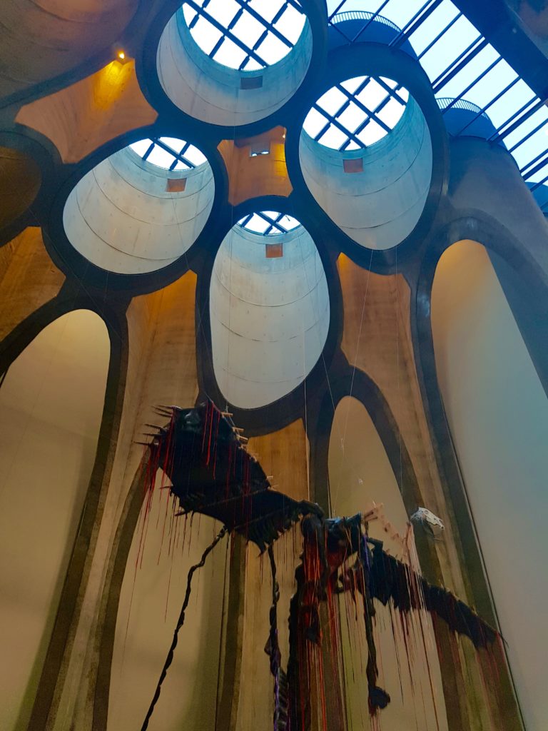 MOCAA