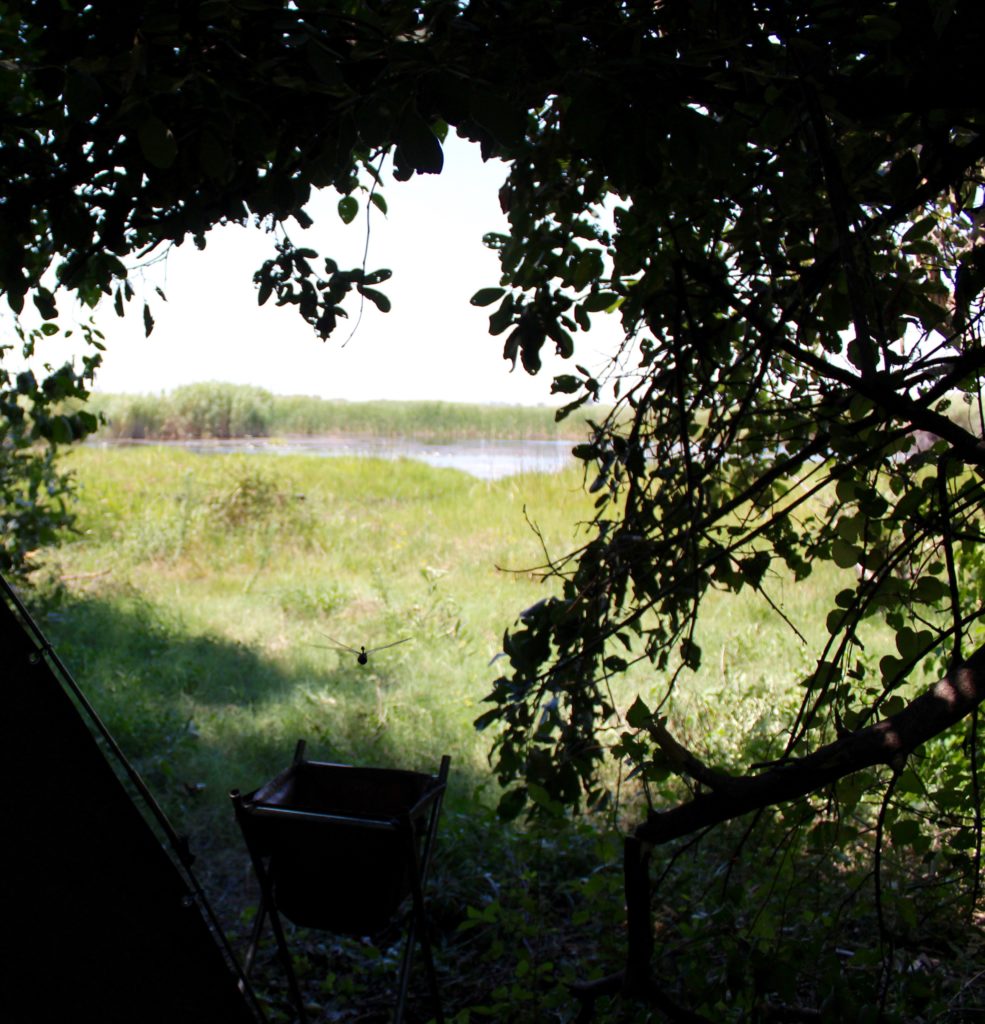 Okavango Delta