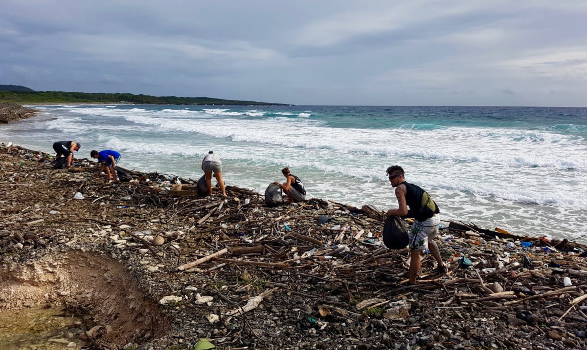 Beach Clean-Up with Utila Dive Center