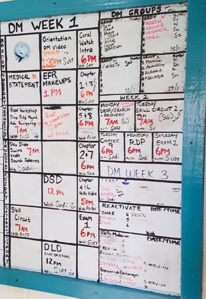 Training to be a Divemaster means a full schedule