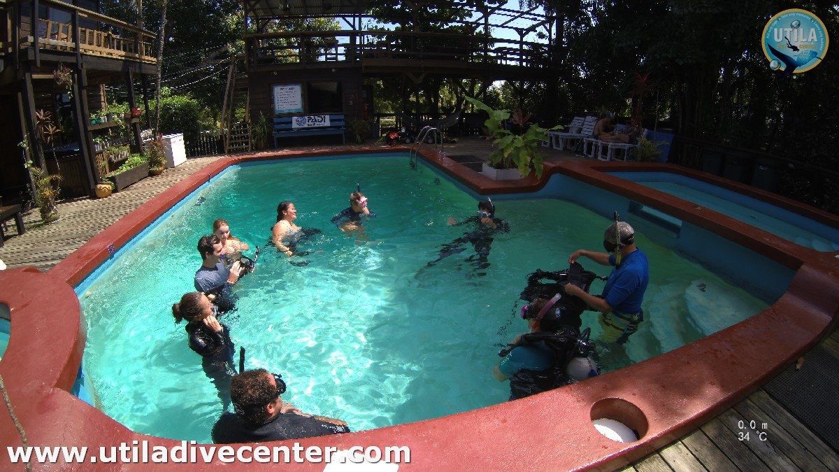 PADI Instructor Course in Utila