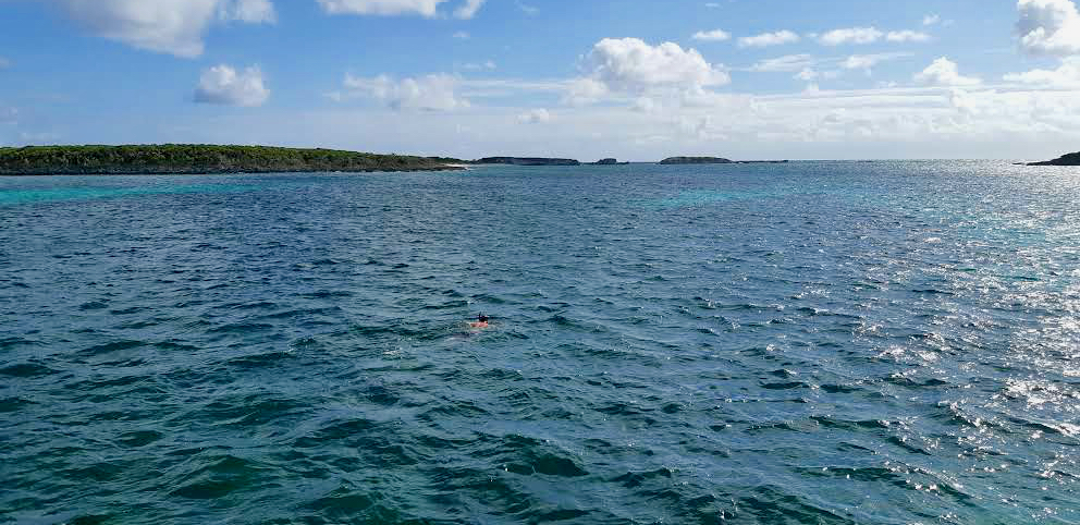 snorkeling, blue water, Bahamas, Hoffmans