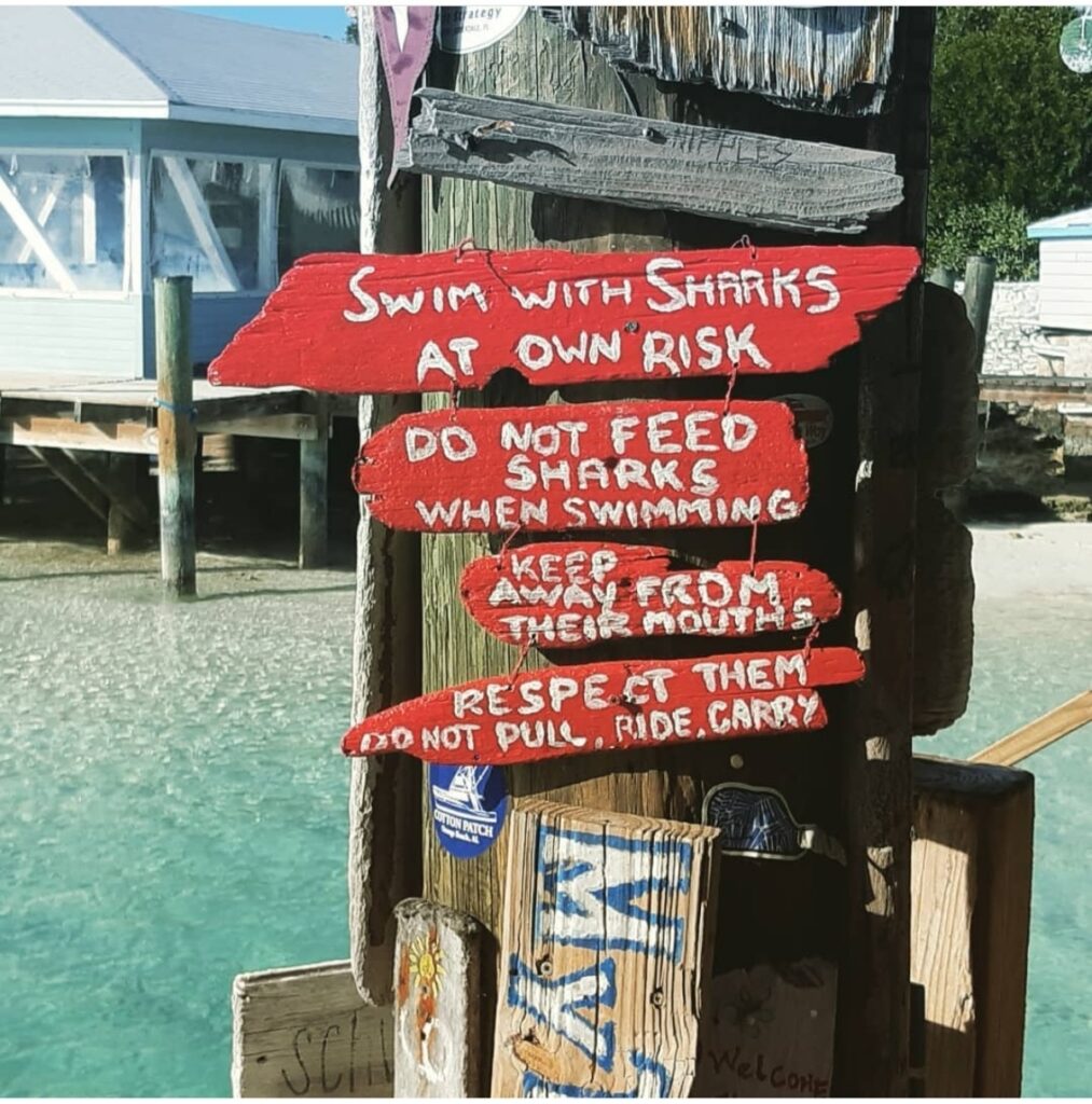 Swimming with Sharks sign Bahamas