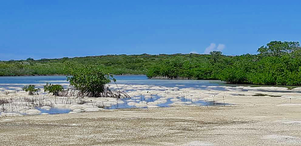 Up the creek in Normans Pond, Exumas, Bahamas