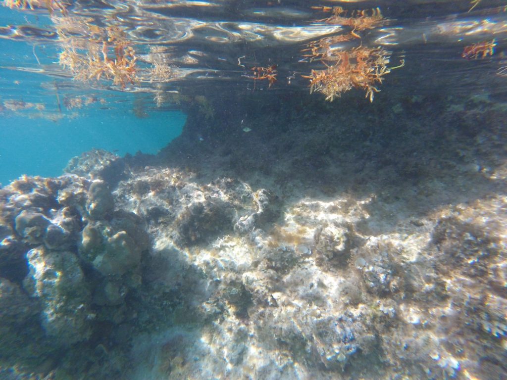 Dean's Blue Hole Bahamas