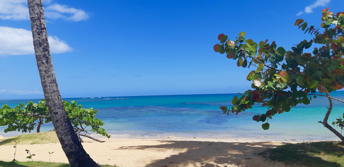 beach, Las Terrenas, Dominican Republic