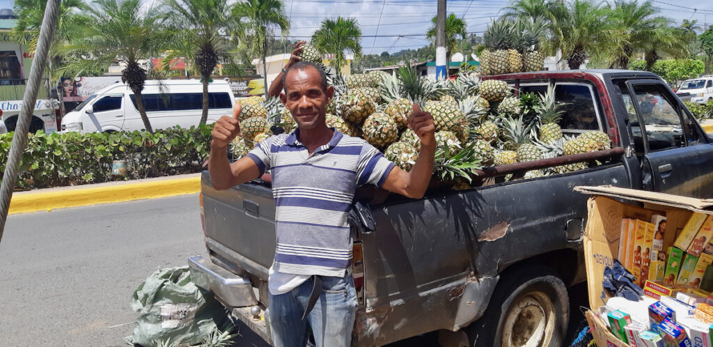 pineapple vendor