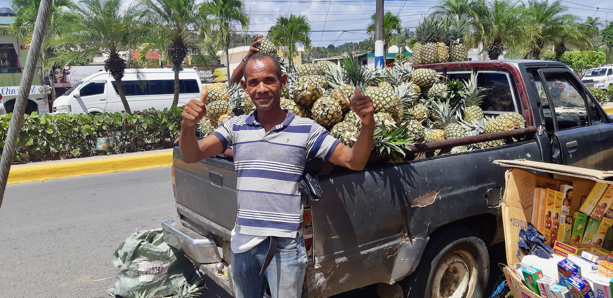 pineapple vendor