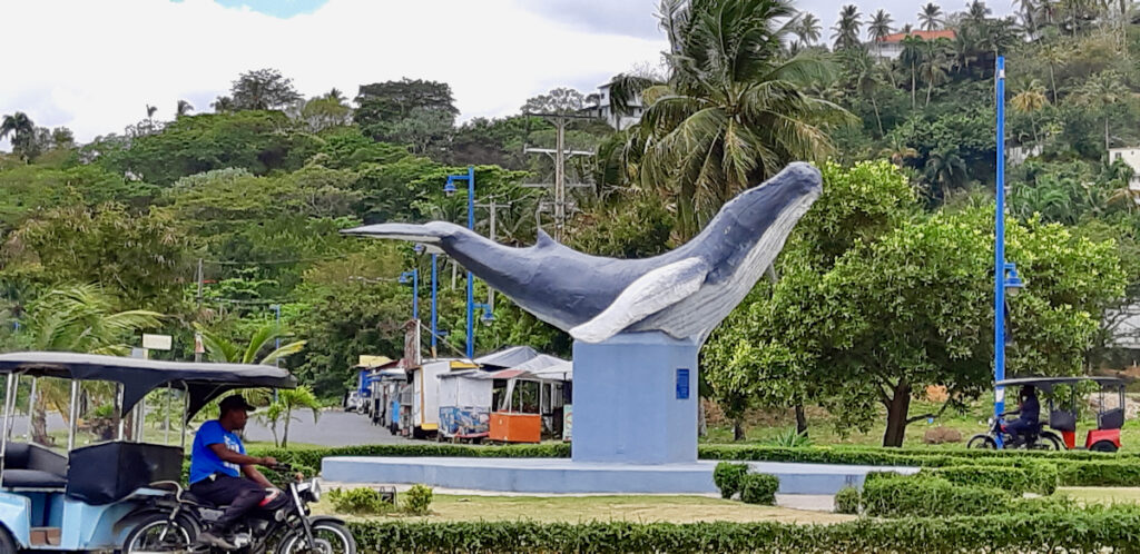 Whale sculpture in Samana