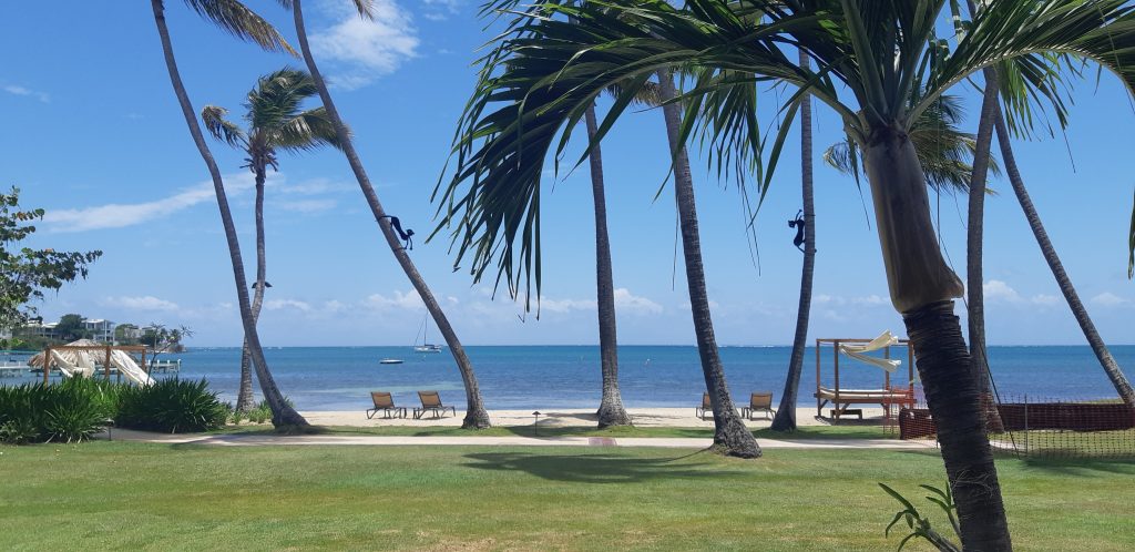 Copamarina Puerto Rico