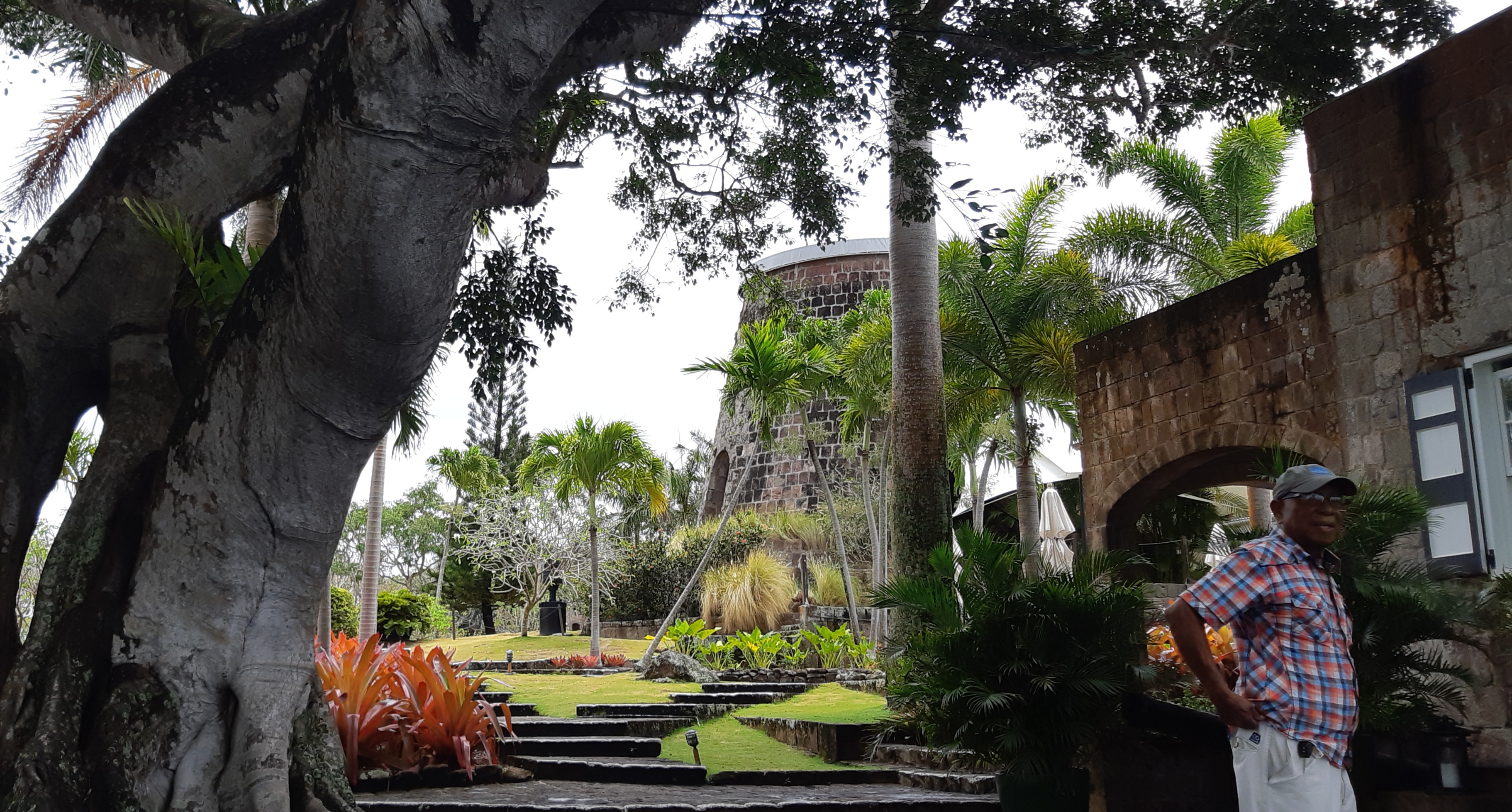 exploring Nevis plantation