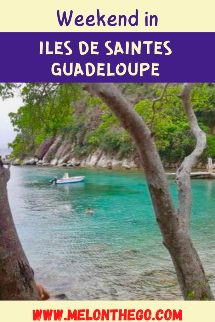 Pin Iles de Saintes Guadeloupe