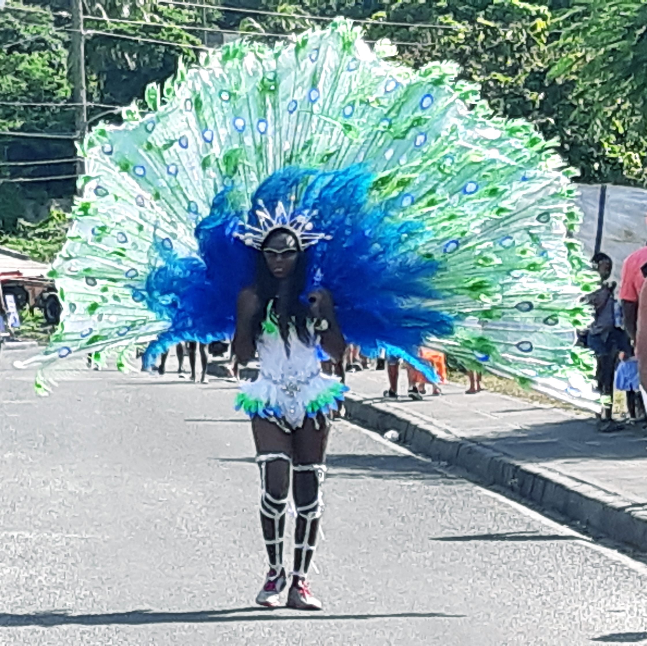 Pretty Mas Grenada