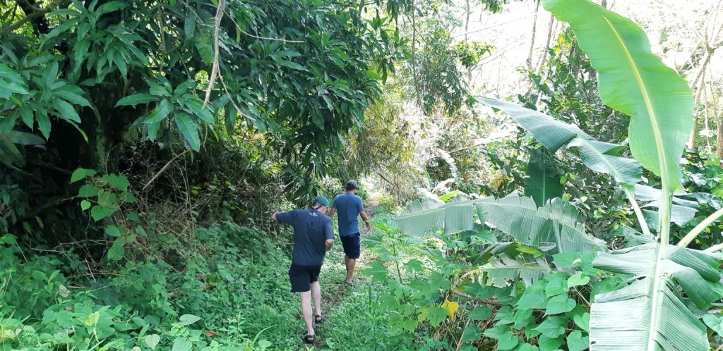 Concord Falls one of Grenada highlights