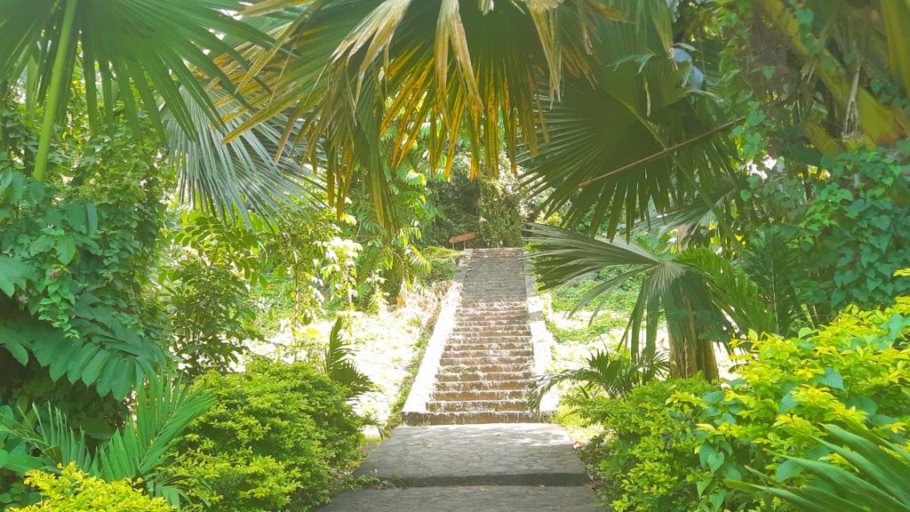 Dominica Botanic Garden