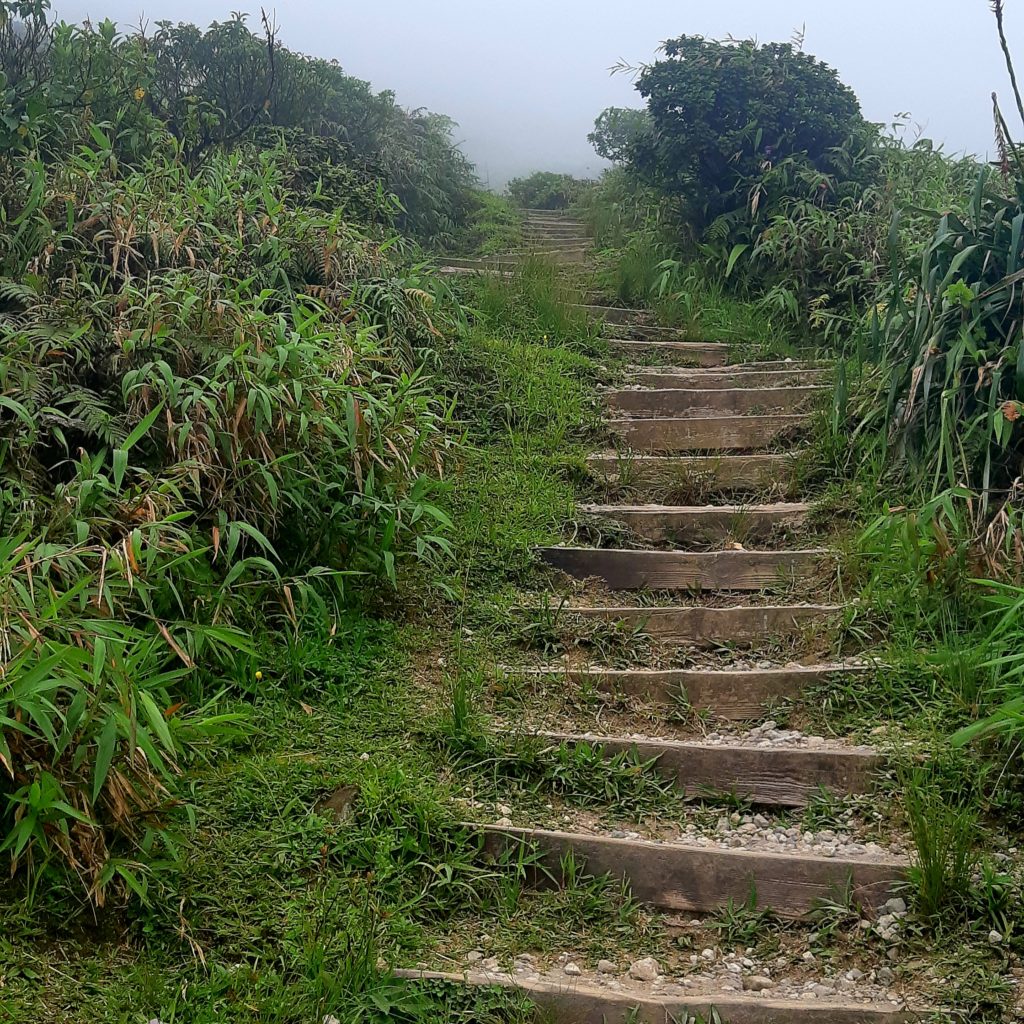 Mount Pelee