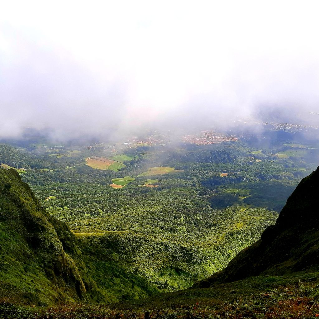 View from Mount Pelee