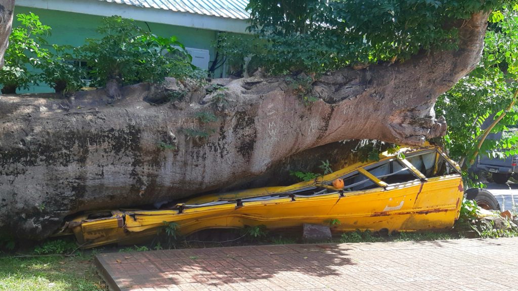 Crushed bus after a hurricane in Roseau, Dominica