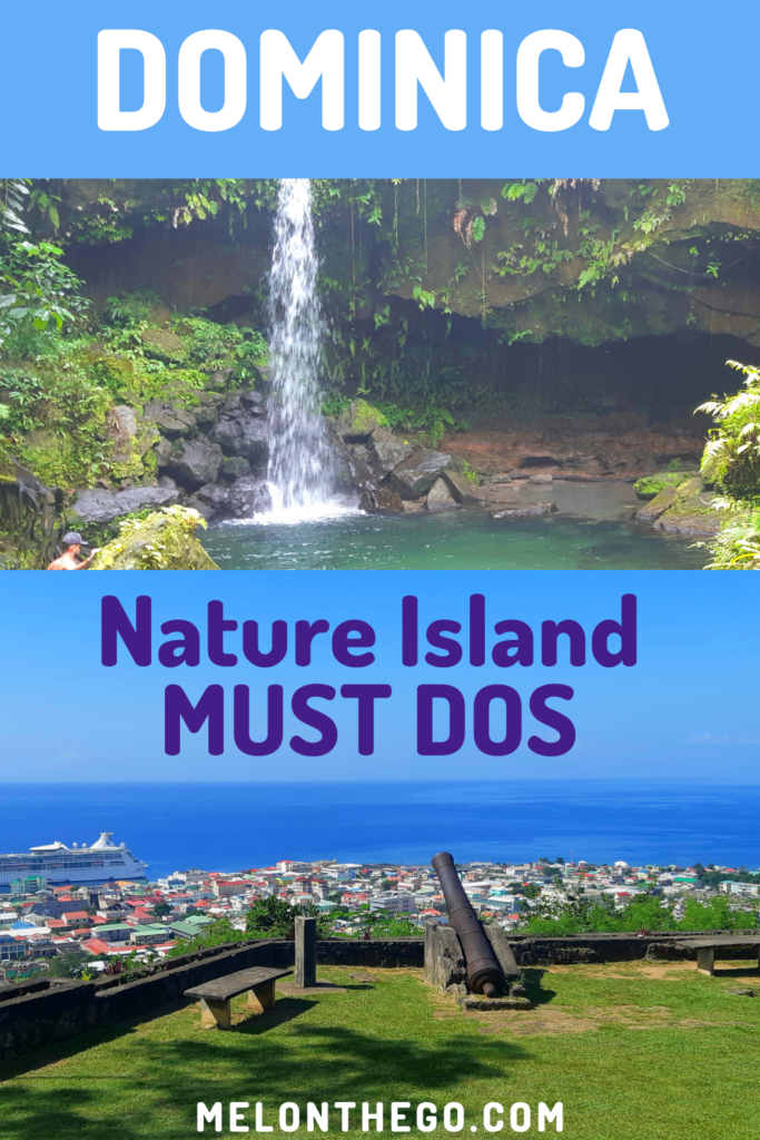 What to do in Dominica Pin