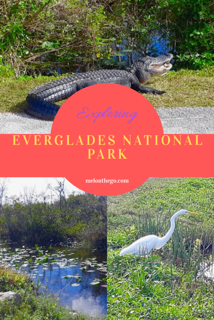 Exploring the Everglades pin