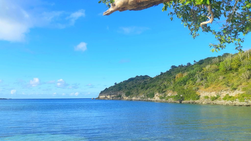 Great bird island antigua