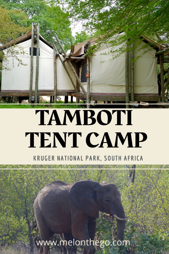 Stay at Tamboti Tent Camp Kruger