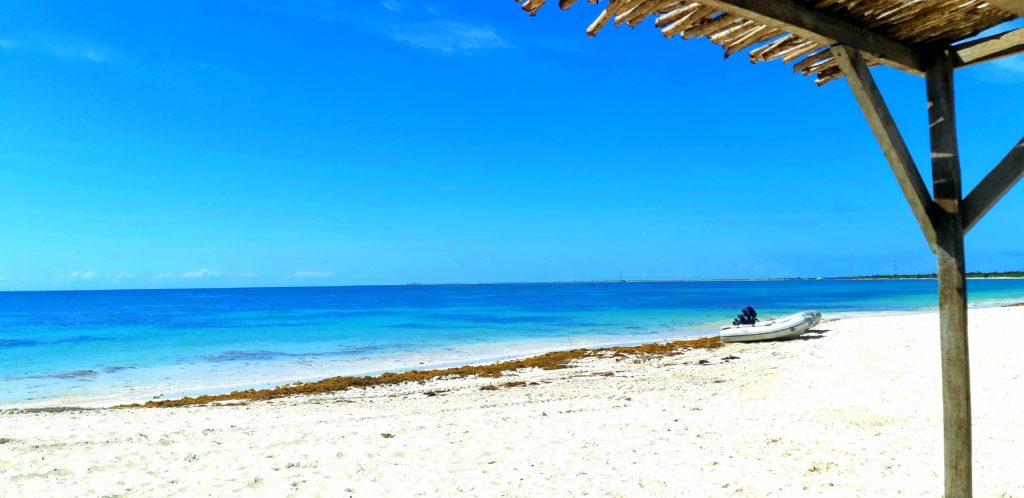 Coral Groove Bay beach Barbuda