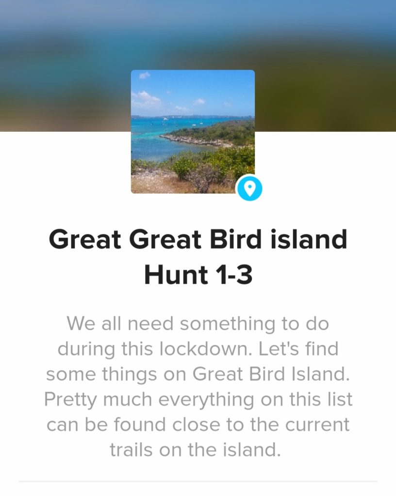 Socially distant scavenger hunt page